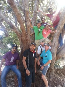 Thames Coromandel Beach - Tablers Perched on a Tree